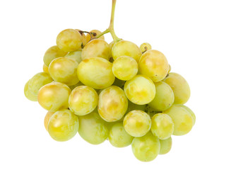 bunch of grapes isolated