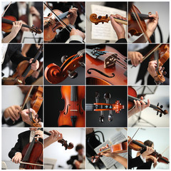 collage Violin detail musicians to play a symphony