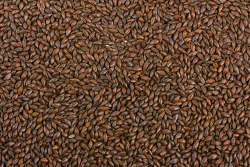 Malt background