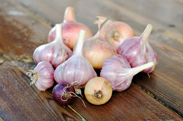Garlic and onions