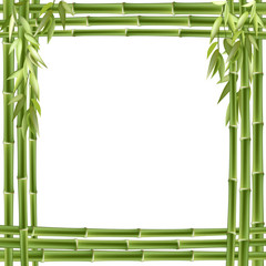 Bamboo frame. Vector background