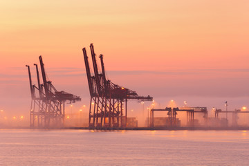 Port of Vancouver Cranes, Morning Fog
