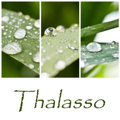 composition thalasso