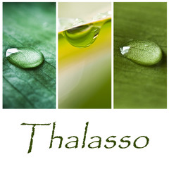 composition thalasso