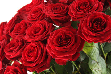 Red roses