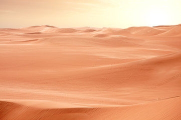 Fototapeta na wymiar Desert Sahara dunes on sunset, Egypt