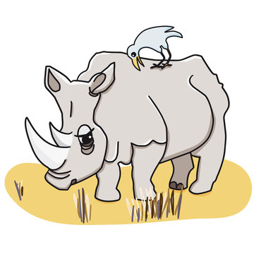 Nashorn colorierte Zeichnung