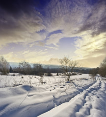 path in winter nature and sunset.