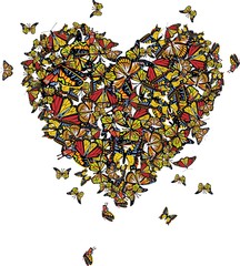 Flying Butterflies Colorful Heart