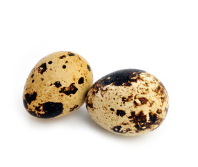 Obraz premium One quail egg. Isolated on white background