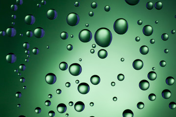 water drops on green