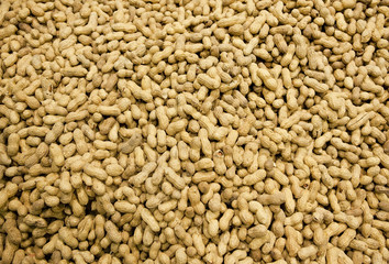 Pile of peanuts forming a background