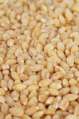 Pearl barley