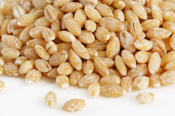 Pearl barley grains  on white background