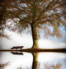 Foto auf Acrylglas Bestsellern Landschaften Alte Holzbank im Herbstpark