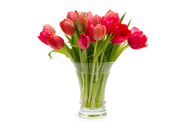 Rote Tulpen in einer Vase