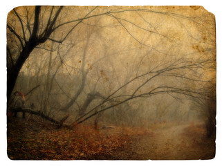 Foggy landscape. Old postcard