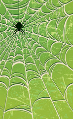 Spider Background—Green