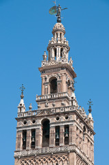 Fototapeta na wymiar Sevilla, santa maria de la sede