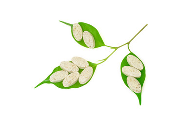Natural supplement pills and fresh leaves, alternative medicine