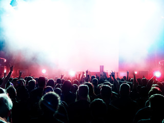 Fototapeta na wymiar cheering concert crowd