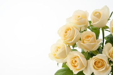 うすいオレンジ色のバラ