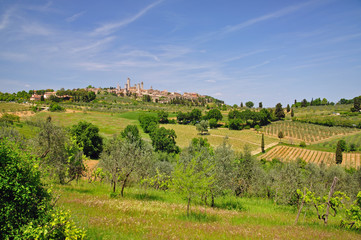 Fototapeta na wymiar Słynny San Gimignano w Toskanii