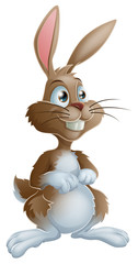 Obraz premium Bunny rabbit cartoon character illustration
