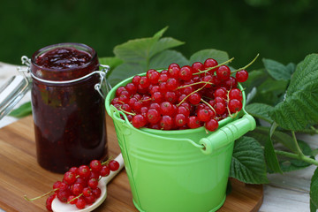 Johannisbeerkonfitüre