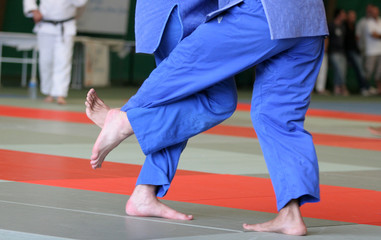 judo