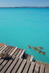 Colori di Garda