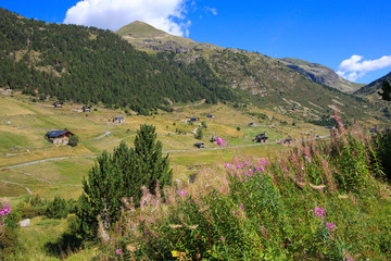 Fototapeta na wymiar Green valley in Andorra, in the Pyrenees mountains