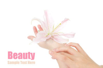 Beauty hands and lily