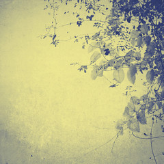 Treetop, grunge background