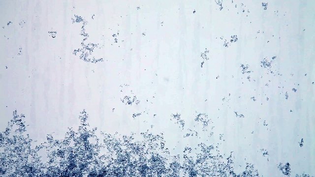 Snowflakes in the window