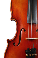 violin details