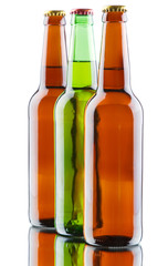 Beer bottles isolated on white background