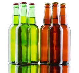 Beer bottles isolated on white background