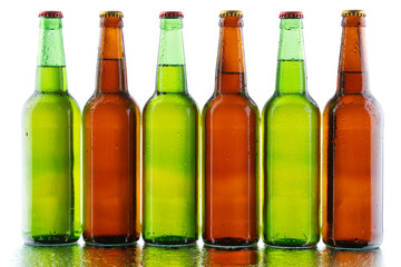Beer bottles isolated on white background