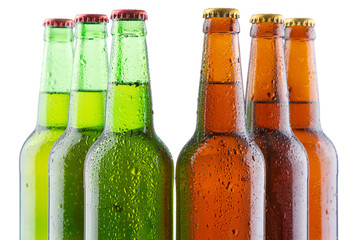 Beer bottles isolated on white background