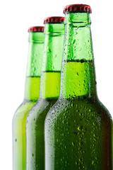Beer bottles isolated on white background