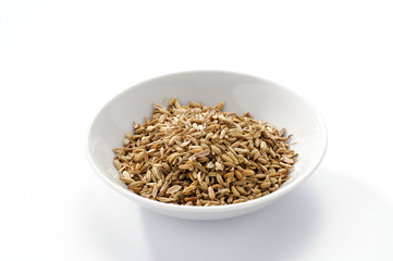 Semi di finocchio - Fennel seeds