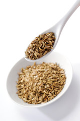 Semi di finocchio - Fennel seeds