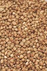 Buckwheat background
