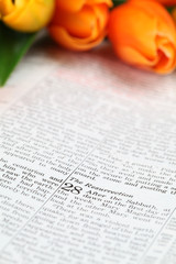 Resurrection - Matthew 28