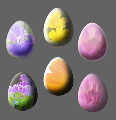 Six isolated easter egg with flower pattern