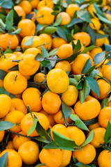 Fruit orange closeup