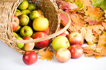Apple in basket,