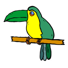 African Parrot Toucan © maxximmm