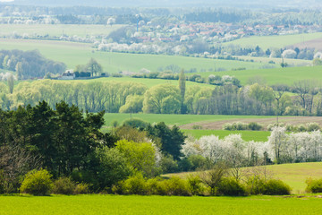 Fototapeta na wymiar spring landscape, Czech Republic